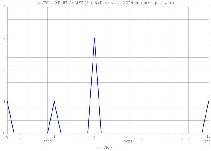 ANTONIO RUIZ GAMEZ (Spain) Page visits 2024 