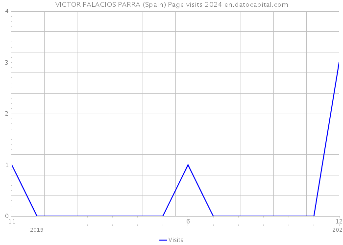VICTOR PALACIOS PARRA (Spain) Page visits 2024 