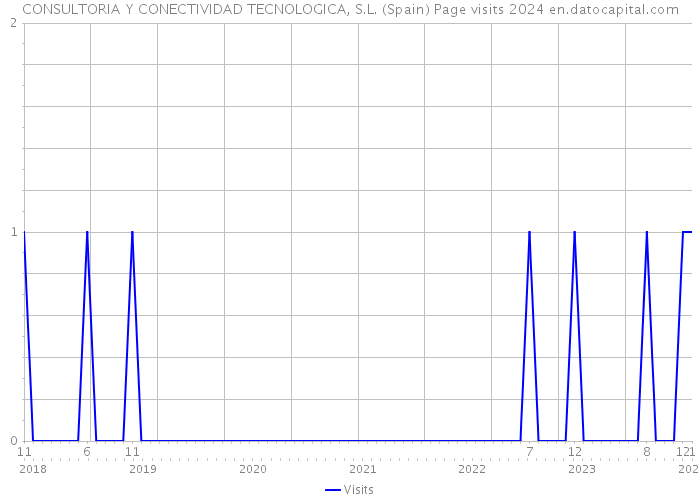 CONSULTORIA Y CONECTIVIDAD TECNOLOGICA, S.L. (Spain) Page visits 2024 