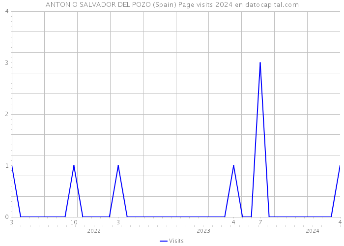 ANTONIO SALVADOR DEL POZO (Spain) Page visits 2024 