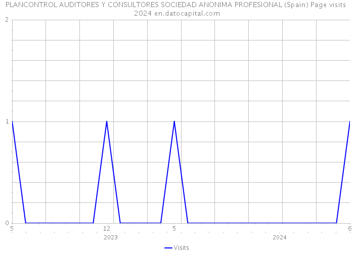 PLANCONTROL AUDITORES Y CONSULTORES SOCIEDAD ANONIMA PROFESIONAL (Spain) Page visits 2024 