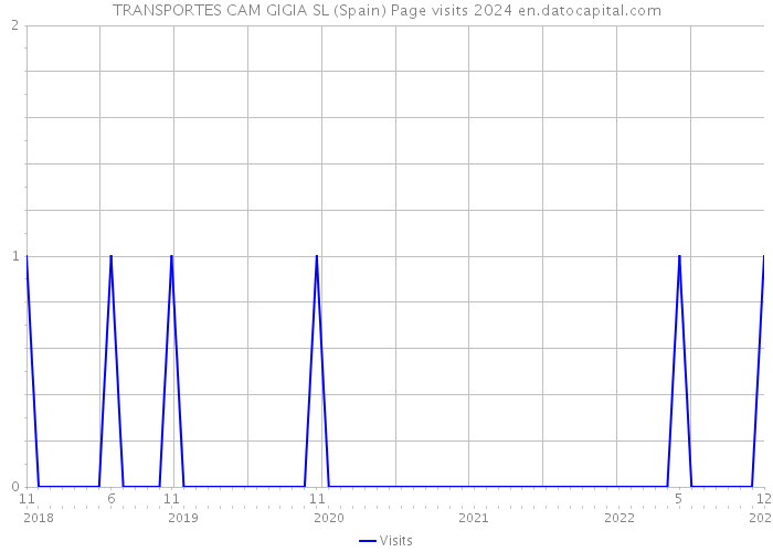 TRANSPORTES CAM GIGIA SL (Spain) Page visits 2024 