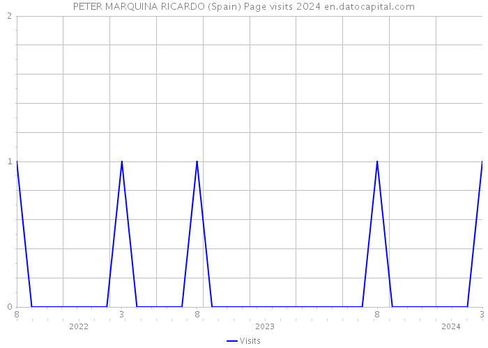 PETER MARQUINA RICARDO (Spain) Page visits 2024 