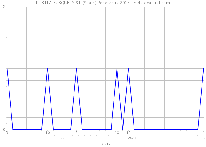 PUBILLA BUSQUETS S.L (Spain) Page visits 2024 