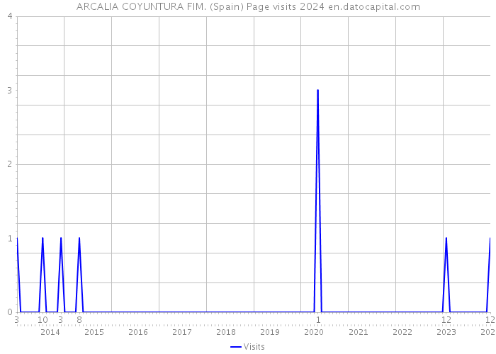 ARCALIA COYUNTURA FIM. (Spain) Page visits 2024 