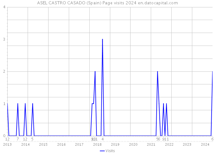 ASEL CASTRO CASADO (Spain) Page visits 2024 