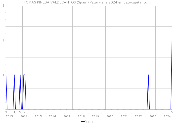 TOMAS PINEDA VALDECANTOS (Spain) Page visits 2024 