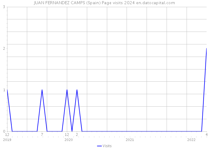 JUAN FERNANDEZ CAMPS (Spain) Page visits 2024 