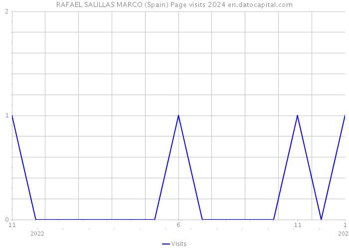 RAFAEL SALILLAS MARCO (Spain) Page visits 2024 