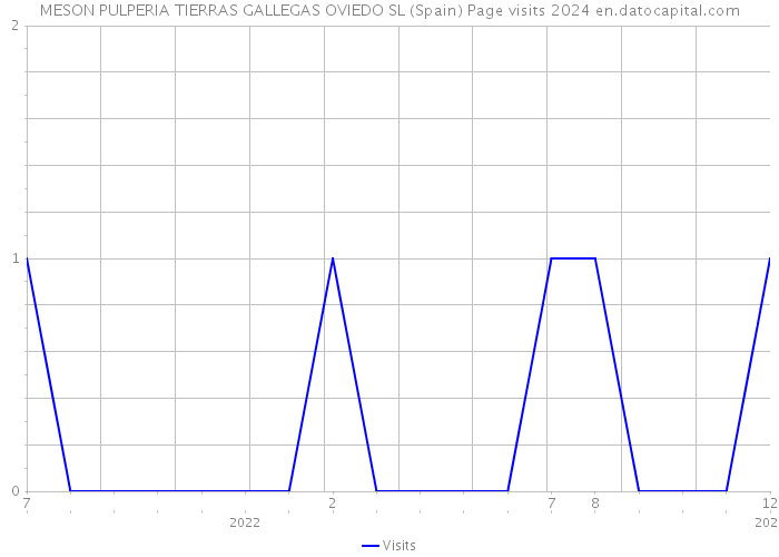 MESON PULPERIA TIERRAS GALLEGAS OVIEDO SL (Spain) Page visits 2024 