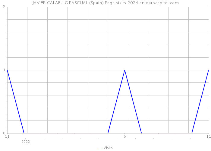 JAVIER CALABUIG PASCUAL (Spain) Page visits 2024 