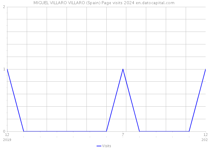 MIGUEL VILLARO VILLARO (Spain) Page visits 2024 