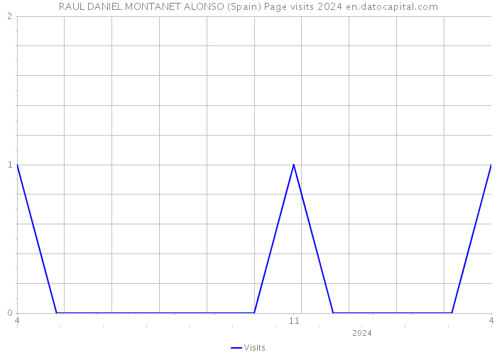 RAUL DANIEL MONTANET ALONSO (Spain) Page visits 2024 