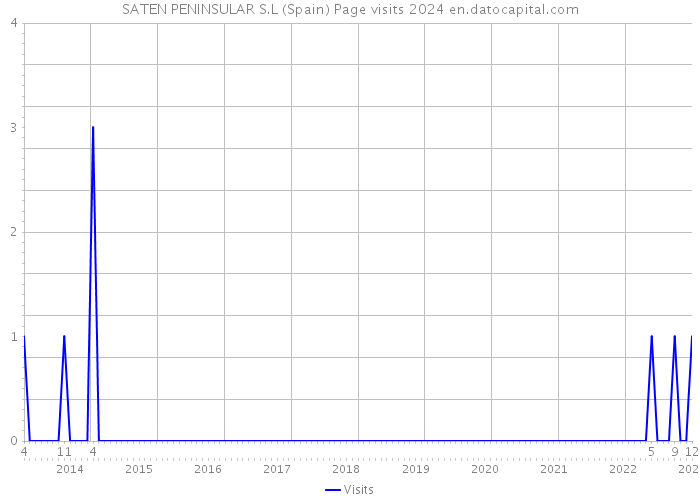 SATEN PENINSULAR S.L (Spain) Page visits 2024 
