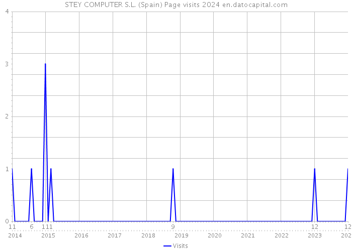STEY COMPUTER S.L. (Spain) Page visits 2024 