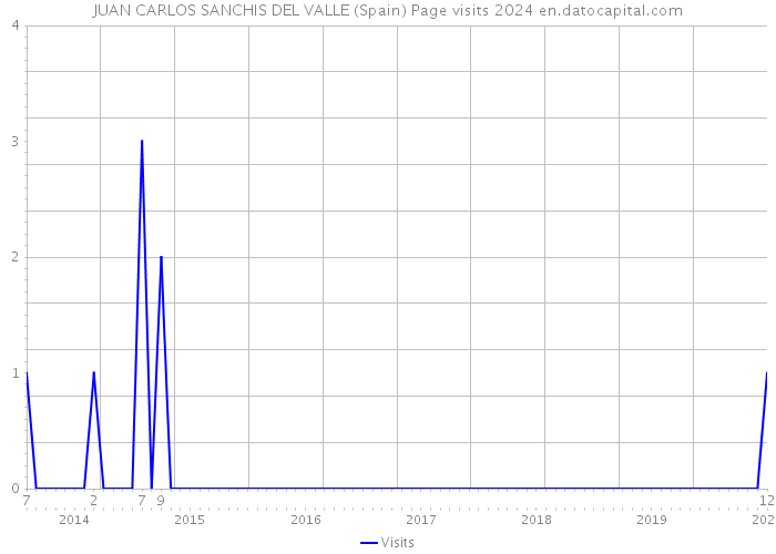 JUAN CARLOS SANCHIS DEL VALLE (Spain) Page visits 2024 