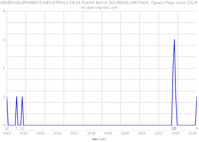 DESENVOLUPAMENTS INDUSTRIALS DE LA PLANA BAIXA SOCIEDAD LIMITADA. (Spain) Page visits 2024 