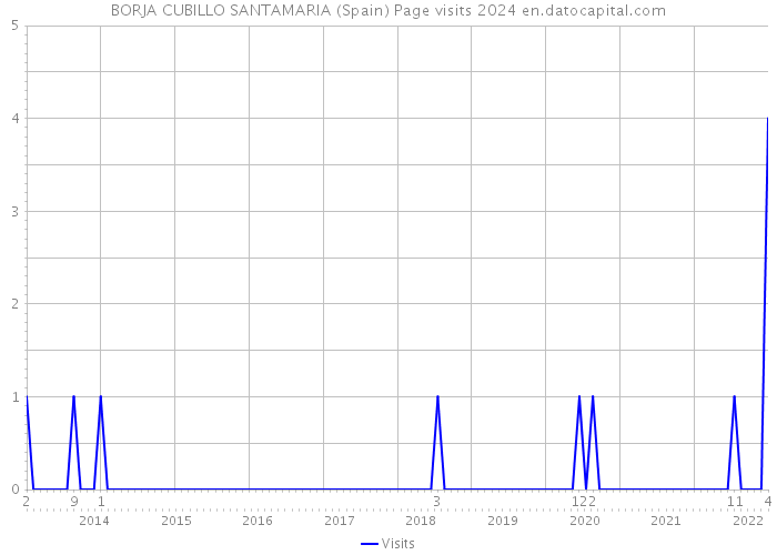 BORJA CUBILLO SANTAMARIA (Spain) Page visits 2024 