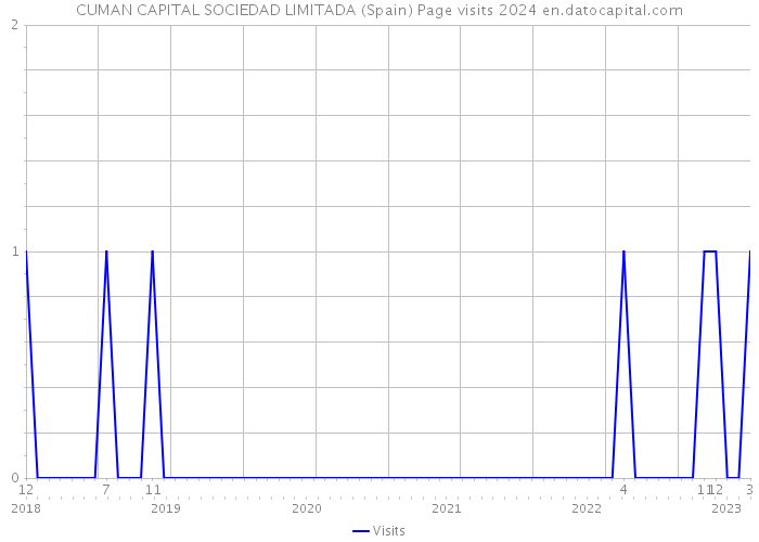 CUMAN CAPITAL SOCIEDAD LIMITADA (Spain) Page visits 2024 