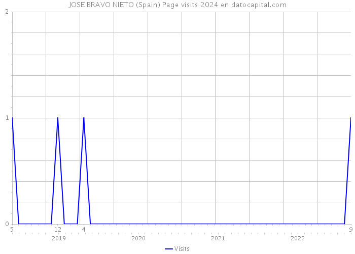 JOSE BRAVO NIETO (Spain) Page visits 2024 