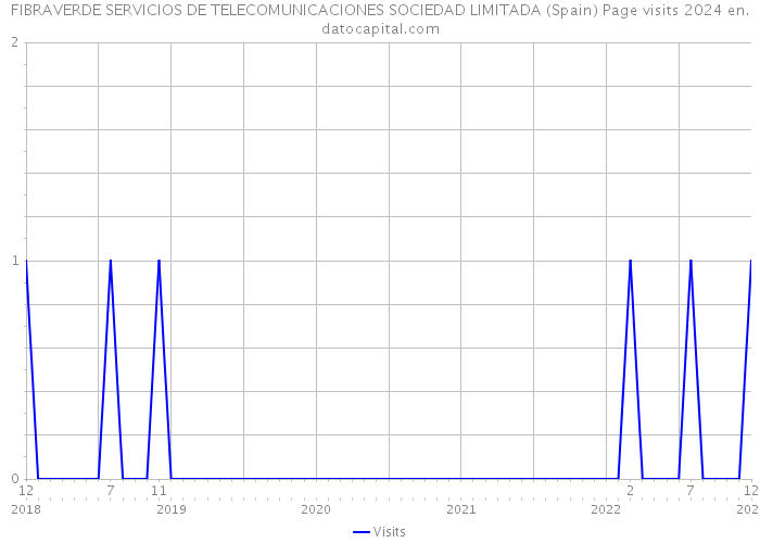 FIBRAVERDE SERVICIOS DE TELECOMUNICACIONES SOCIEDAD LIMITADA (Spain) Page visits 2024 