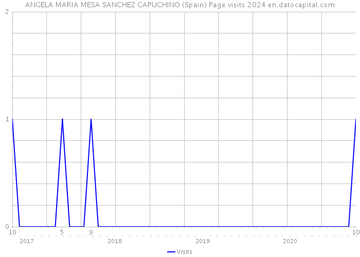 ANGELA MARIA MESA SANCHEZ CAPUCHINO (Spain) Page visits 2024 