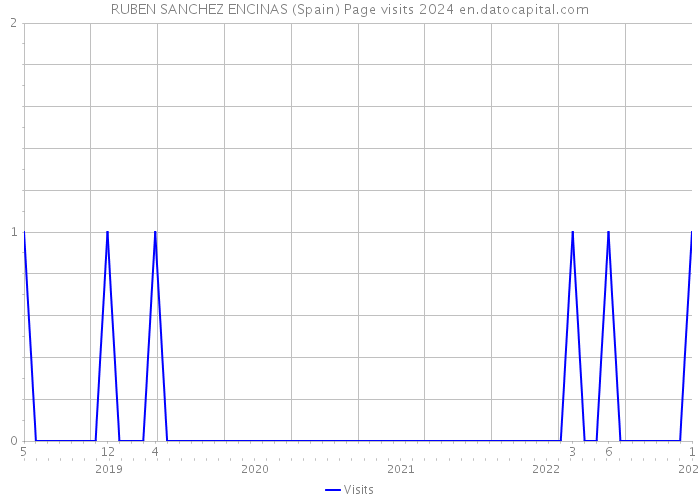 RUBEN SANCHEZ ENCINAS (Spain) Page visits 2024 