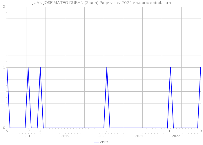 JUAN JOSE MATEO DURAN (Spain) Page visits 2024 