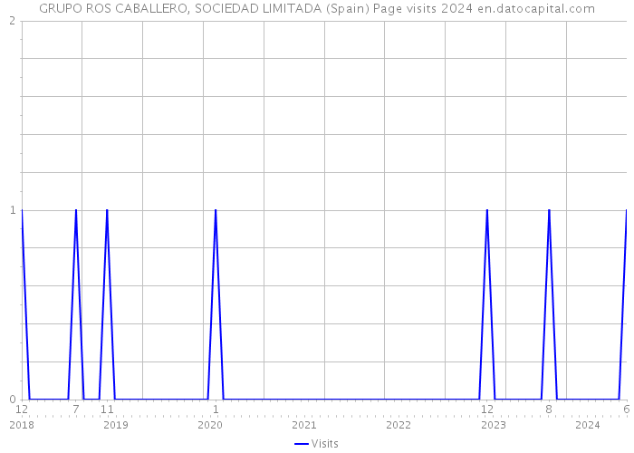 GRUPO ROS CABALLERO, SOCIEDAD LIMITADA (Spain) Page visits 2024 