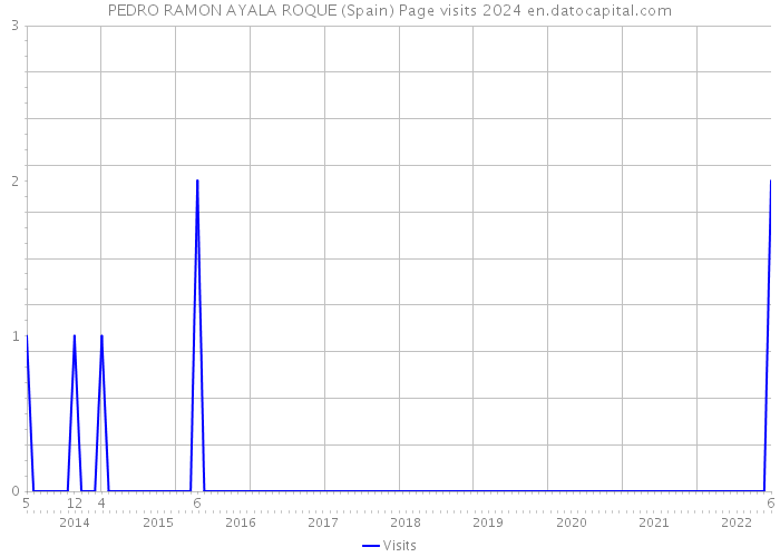 PEDRO RAMON AYALA ROQUE (Spain) Page visits 2024 