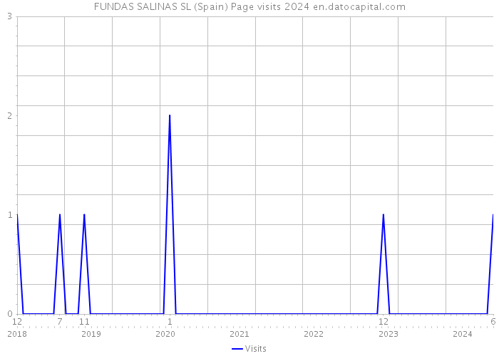 FUNDAS SALINAS SL (Spain) Page visits 2024 