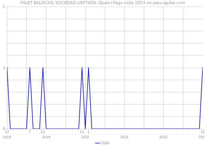 PALET BALSICAS, SOCIEDAD LIMITADA (Spain) Page visits 2024 