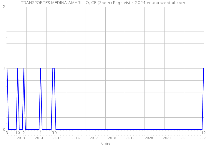 TRANSPORTES MEDINA AMARILLO, CB (Spain) Page visits 2024 