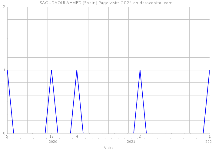 SAOUDAOUI AHMED (Spain) Page visits 2024 