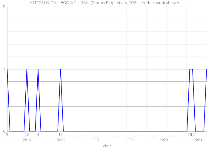 ANTONIO GALLEGO AGUIRAN (Spain) Page visits 2024 