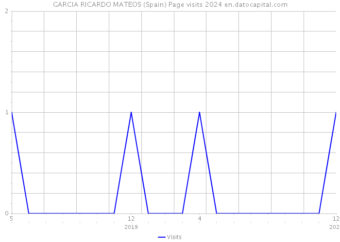 GARCIA RICARDO MATEOS (Spain) Page visits 2024 