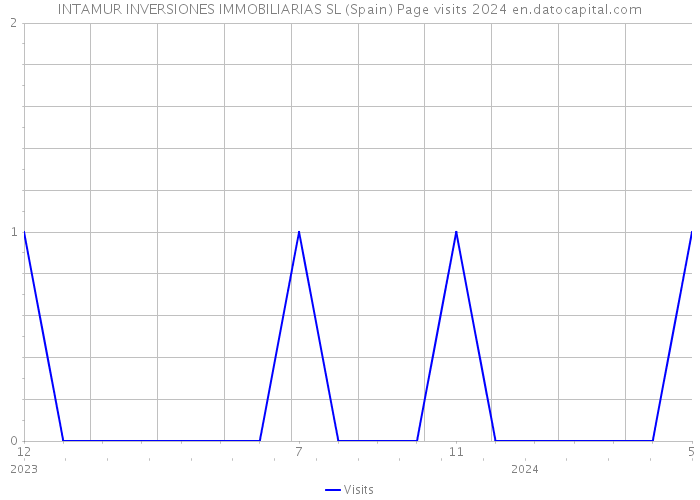 INTAMUR INVERSIONES IMMOBILIARIAS SL (Spain) Page visits 2024 