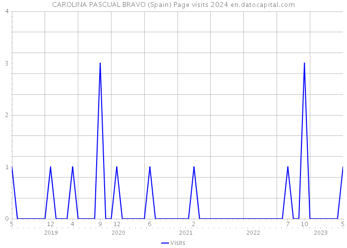 CAROLINA PASCUAL BRAVO (Spain) Page visits 2024 