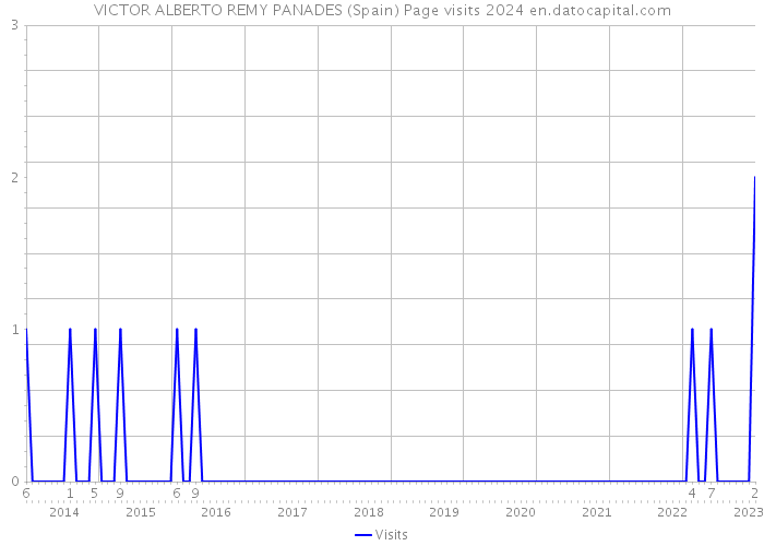 VICTOR ALBERTO REMY PANADES (Spain) Page visits 2024 