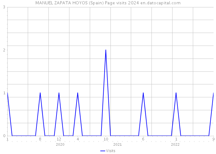 MANUEL ZAPATA HOYOS (Spain) Page visits 2024 
