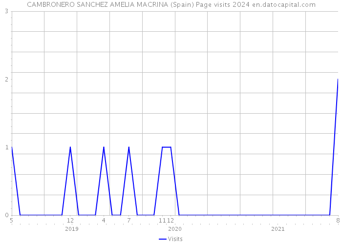 CAMBRONERO SANCHEZ AMELIA MACRINA (Spain) Page visits 2024 