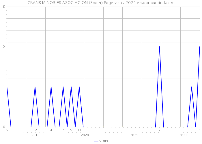 GRANS MINORIES ASOCIACION (Spain) Page visits 2024 