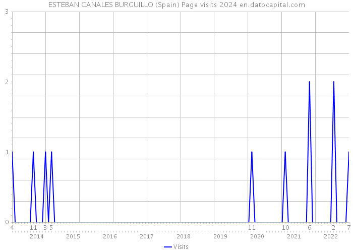 ESTEBAN CANALES BURGUILLO (Spain) Page visits 2024 