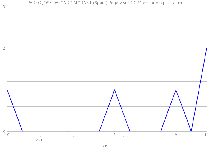 PEDRO JOSE DELGADO MORANT (Spain) Page visits 2024 