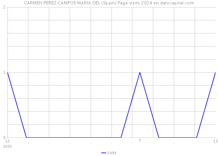 CARMEN PEREZ CAMPOS MARIA DEL (Spain) Page visits 2024 