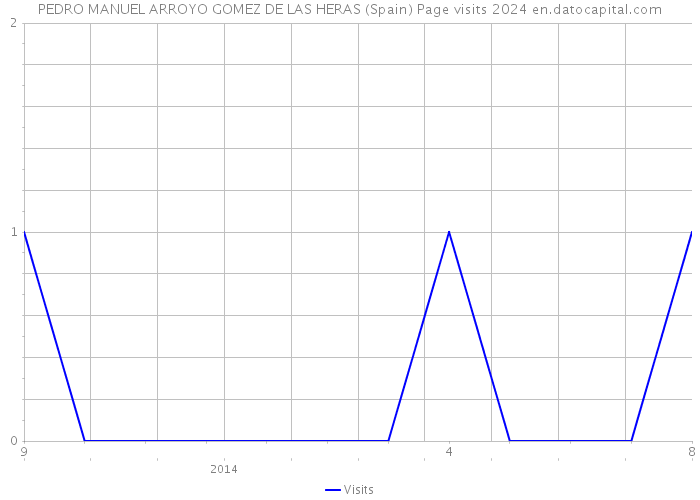 PEDRO MANUEL ARROYO GOMEZ DE LAS HERAS (Spain) Page visits 2024 