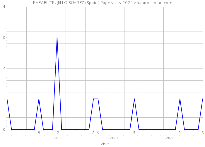 RAFAEL TRUJILLO SUAREZ (Spain) Page visits 2024 