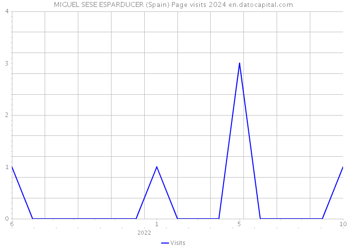 MIGUEL SESE ESPARDUCER (Spain) Page visits 2024 