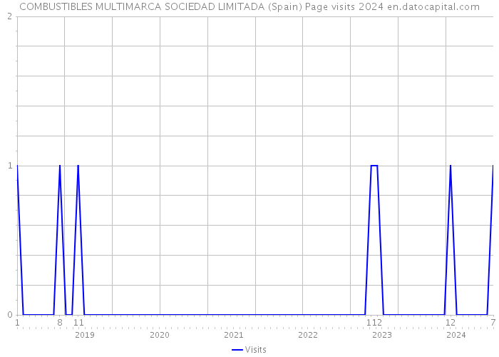 COMBUSTIBLES MULTIMARCA SOCIEDAD LIMITADA (Spain) Page visits 2024 