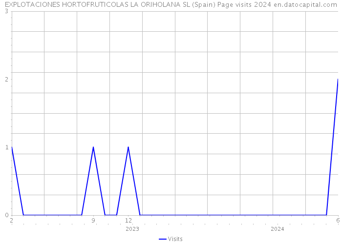 EXPLOTACIONES HORTOFRUTICOLAS LA ORIHOLANA SL (Spain) Page visits 2024 